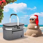 22L Panier à Pique-Nique 2 Personne Panier de Pique-Nique Glacière Sac Isotherme Sac de Plage pour Famille Pique-Nique
