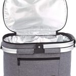 22L Panier à Pique-Nique 2 Personne Panier de Pique-Nique Glacière Sac Isotherme Sac de Plage pour Famille Pique-Nique